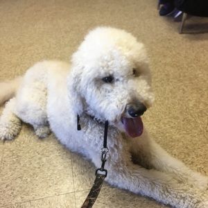 Meet your Posher, Tiffany